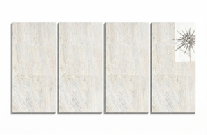 Ivory Fantasy Gránit